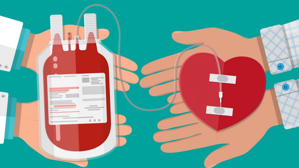 Los Leones invitan a donar sangre para salvar vidas – Leones de Yucatán